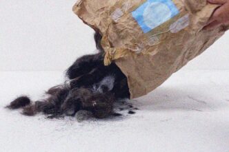 Tecido biodegradável feito de cabelo humano para retenção de umidade no solo.